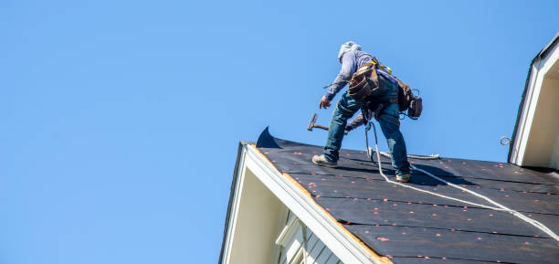 Best Roof Gutter Cleaning  in Laurinburg, NC